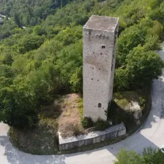 Zamek w Koninie: Czy miasto nad Wartą miało swoją twierdzę?