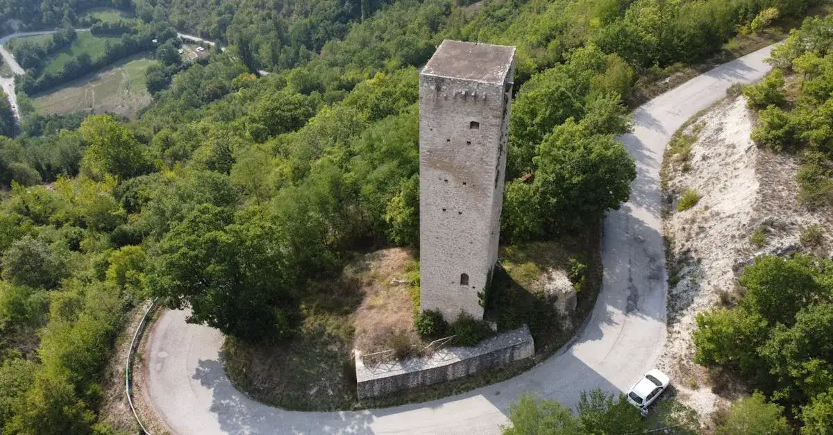 Zdjęcie Zamek w Świeciu: Krzyżacka twierdza nad Wisłą warta zobaczenia